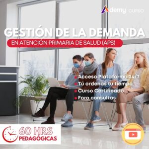 GESTIÓN DEMANDA APS